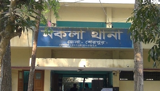 image-here
